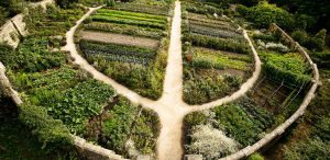 permaculture1