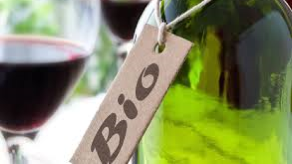 vin-bio x