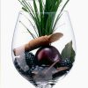 malbec